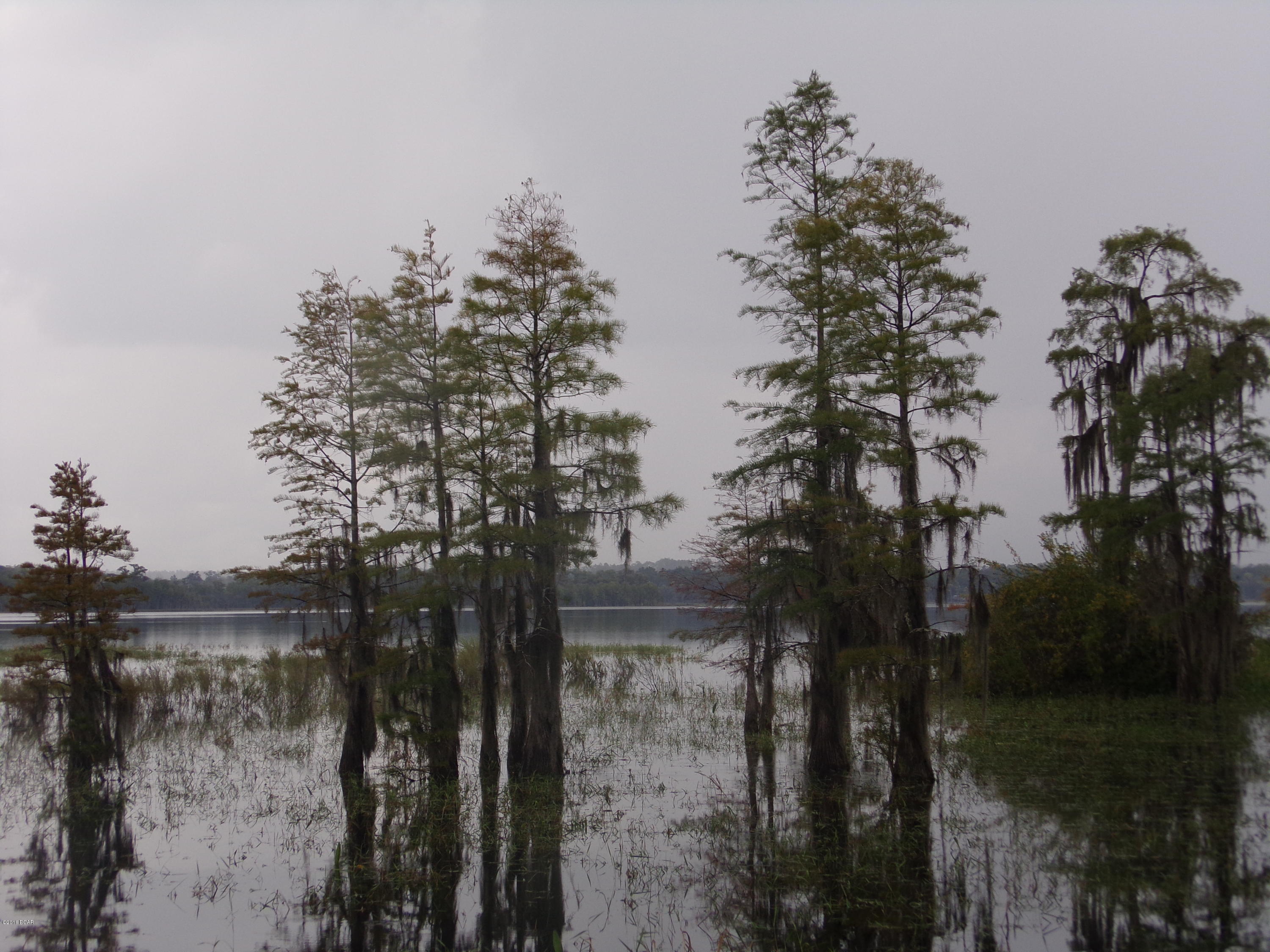 Lucas Lake Retreat - Land