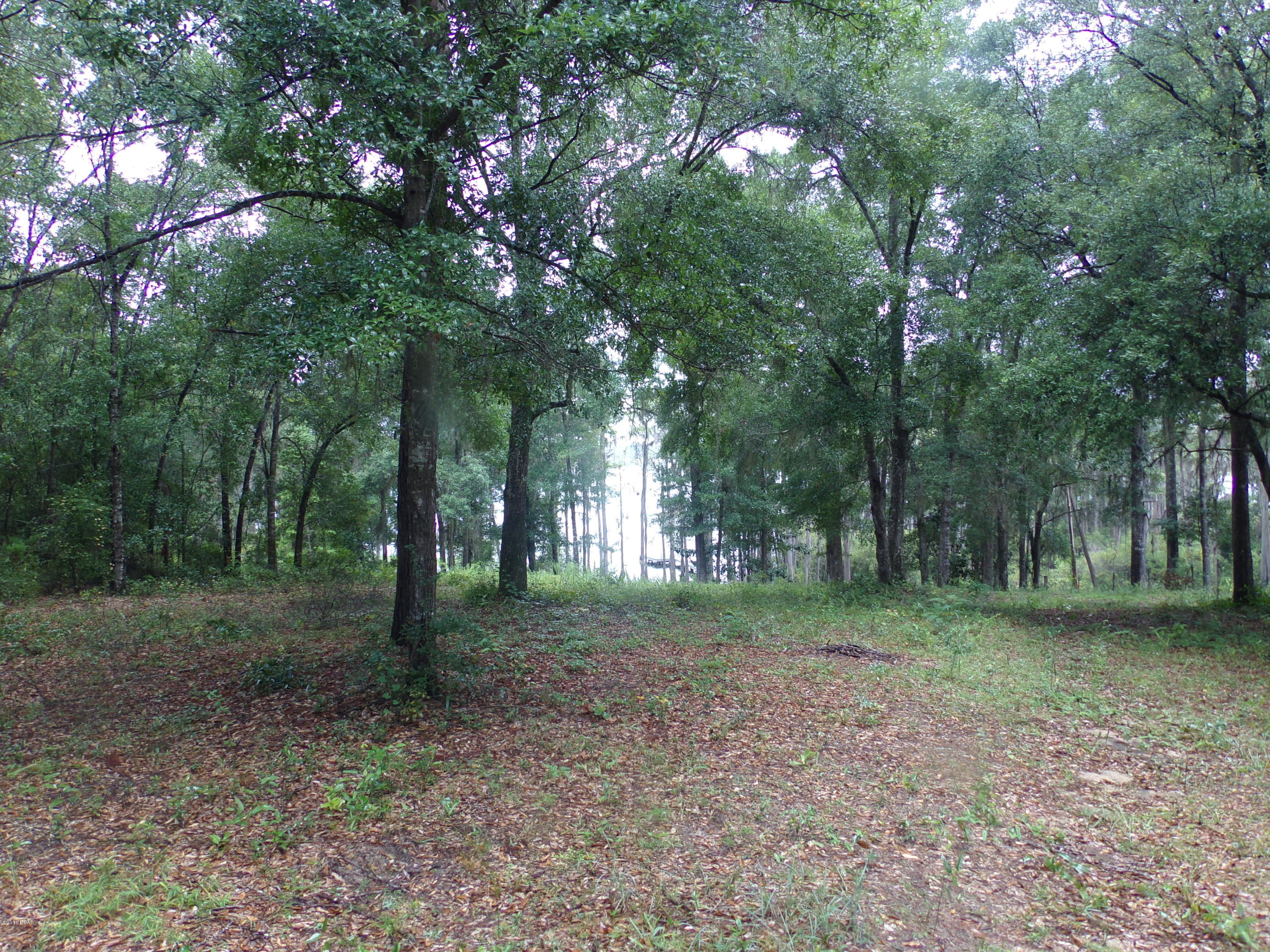 Lucas Lake Retreat - Land