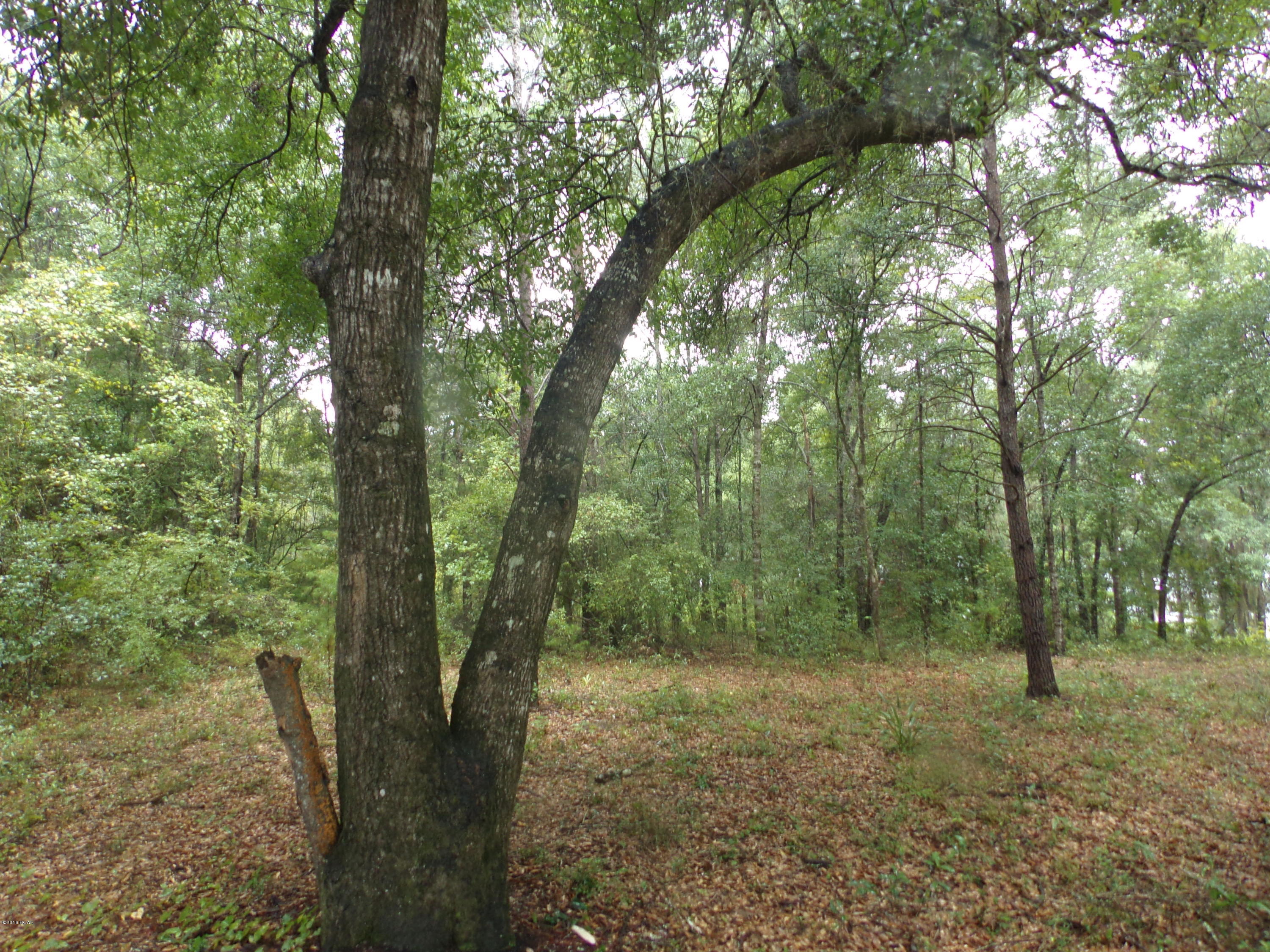 Lucas Lake Retreat - Land