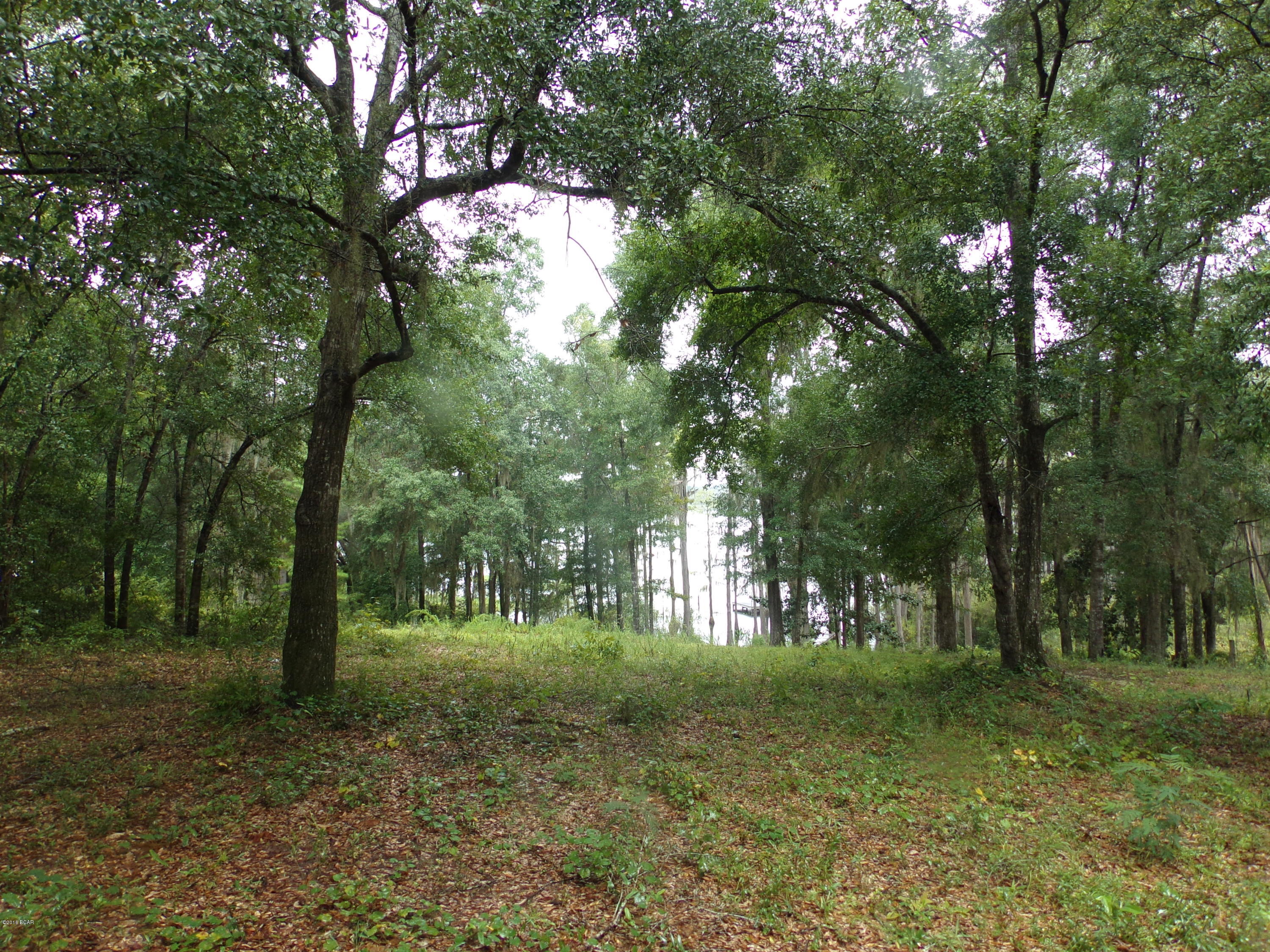 Lucas Lake Retreat - Land