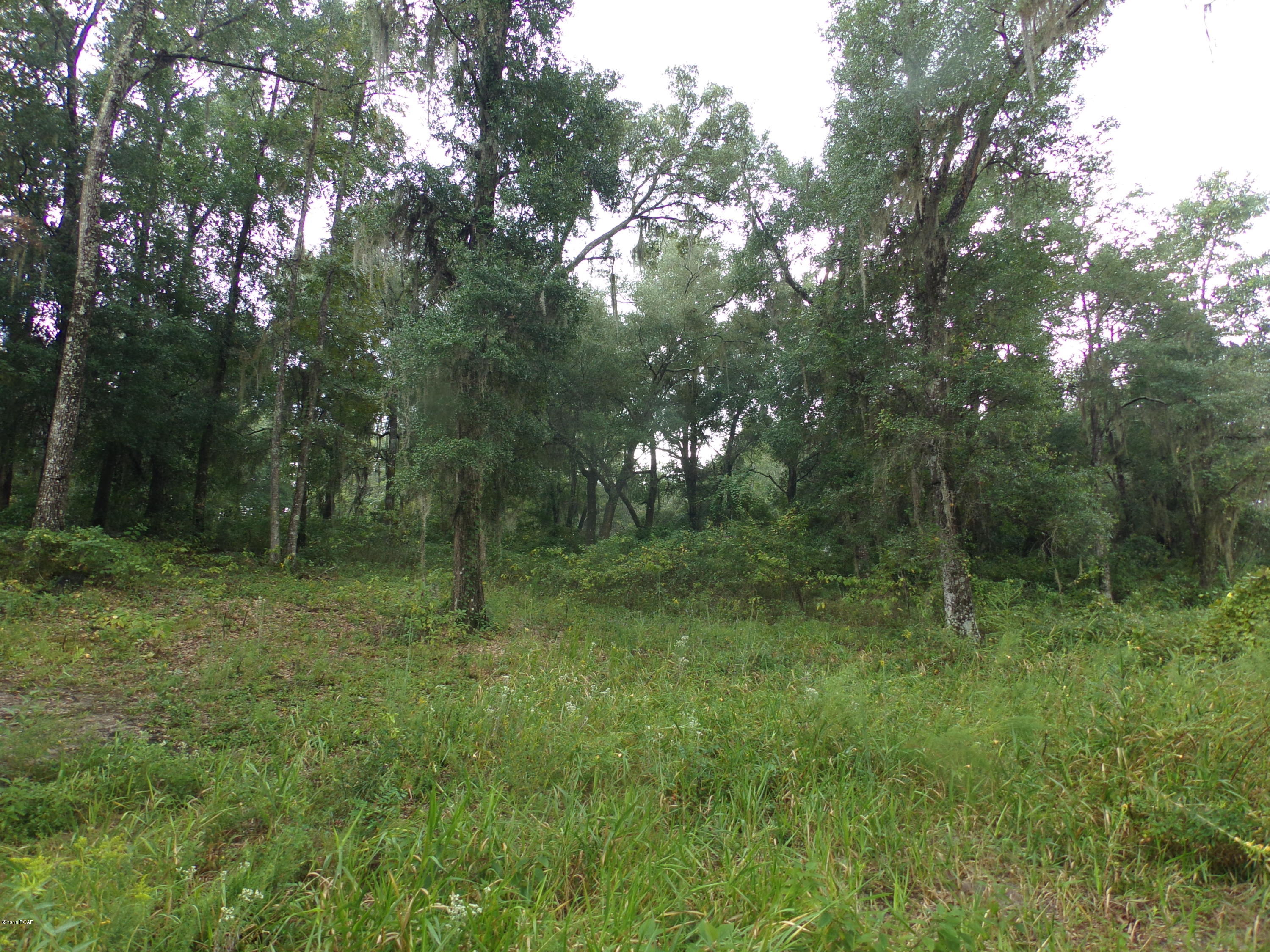 Lucas Lake Retreat - Land