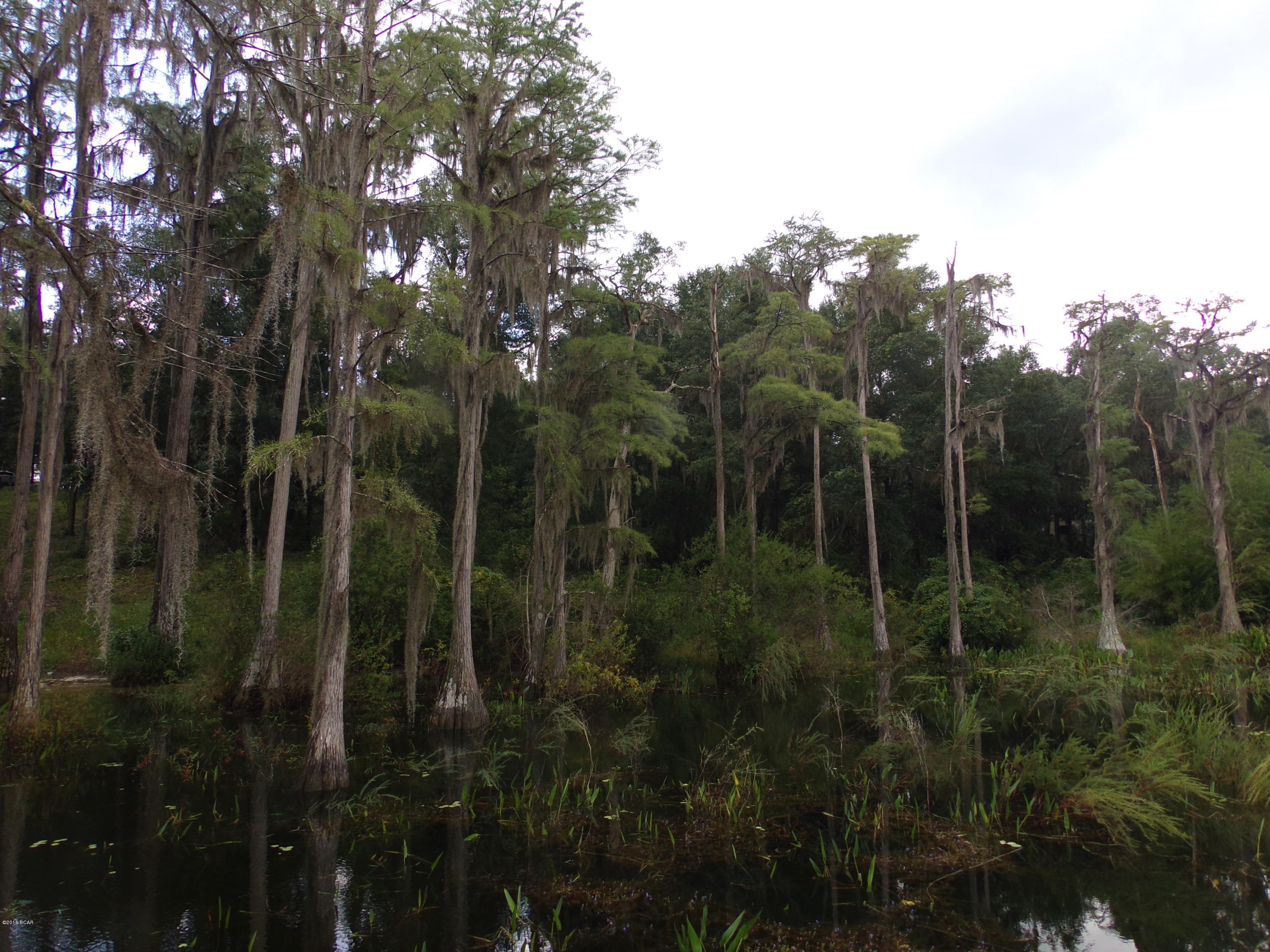 Lucas Lake Retreat - Land