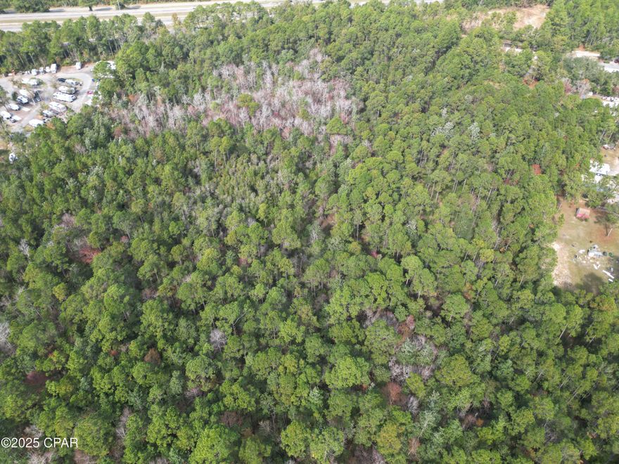 Discover the perfect place to create your dream lifestyle on this 3.2 +/- acre unrestricted lot (Lot B) located in charming Milton, Florida, within Santa Rosa County. This versatile property is suitable for building your dream home or setting up a mobile home. 
With ample space, you can easily add a pole barn, start a garden, or keep farm animals—making it an excellent choice for a hobby farm. The open possibilities allow you to craft the country living experience you've always envisioned.
Fishing enthusiasts will find this location appealing, as it's close to numerous recreational sites. Enjoy some of the best fishing in Florida with easy access to three public boat ramps—all within a 15-minute drive. Launch your boat at Oyster Pile Boat Ramp (3.2 miles), Milton City Marina (5 miles) or Mae Lane Boat Ramp (6.8 miles) to explore the rich waters of Blackwater Bay. Here, you can fish for speckled trout, redfish, and flounder in a highly desirable fishing area.
Embrace the tranquility and convenience this property offers. Whether you're planning a homestead, a weekend retreat, or simply a spot to enjoy nature and recreational activities, this location provides endless opportunities.
Contact us today to learn more about this fantastic opportunity in Milton, FL!  Note: There are an additional 3.2 acres adjacent to this lot for sale.

Property Features:
*Perfect for building or mobile home
*Plenty of room for a hobby farm
*Multiple boat landings under 7 miles away