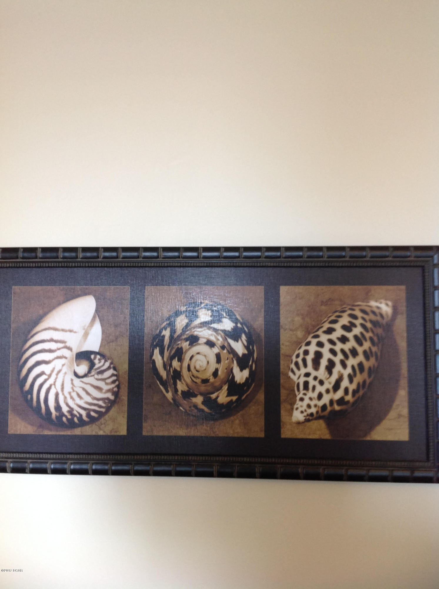 Carillon Beach - Residential