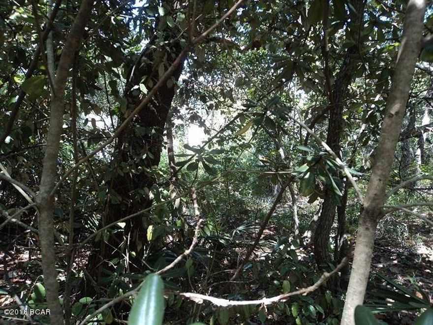 SECLUDED,PRIVATE,LOCATION ON OLD SEAGROVE - Great Location to Build your Dream Home.  Take a relaxing bike ride through streets of historic Old Seagrove. Just three short blocks from the beach.