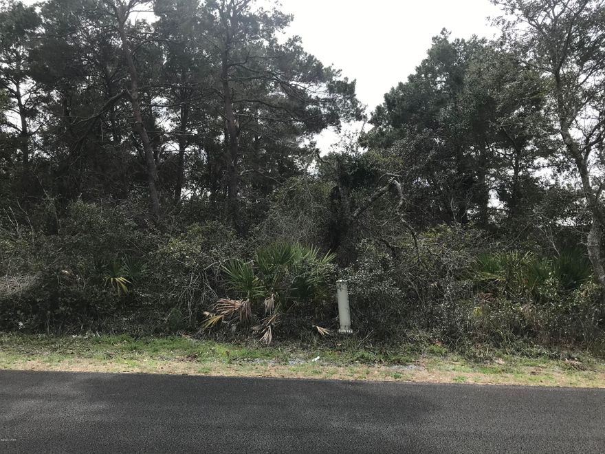 Wooded building lot in beautiful Riviera Beach.