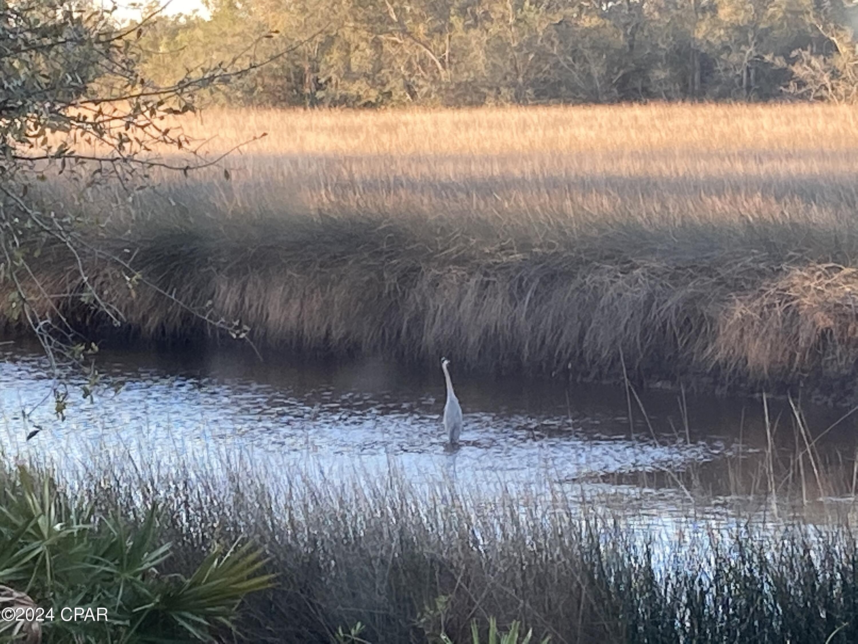 Venetian Villa - Residential