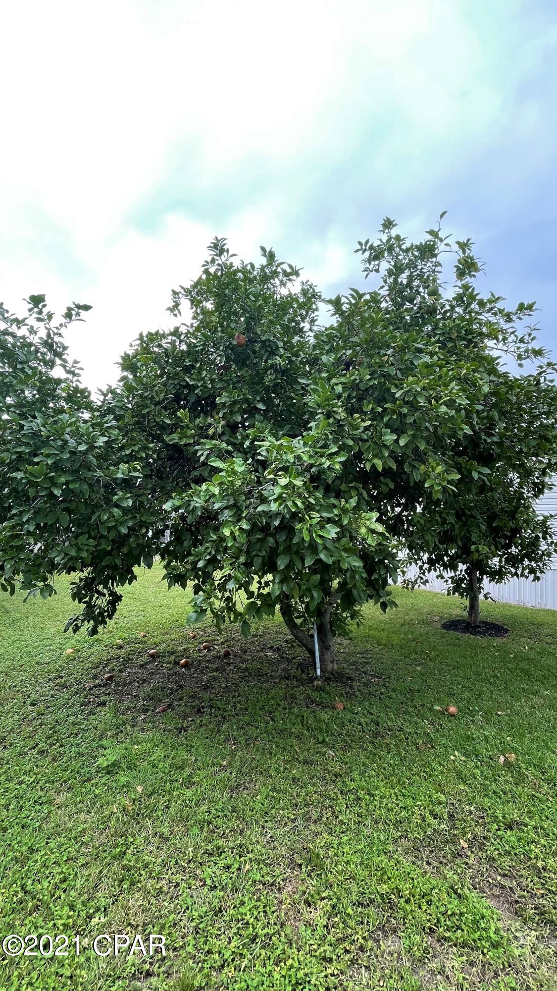 Laguna Beach - Residential