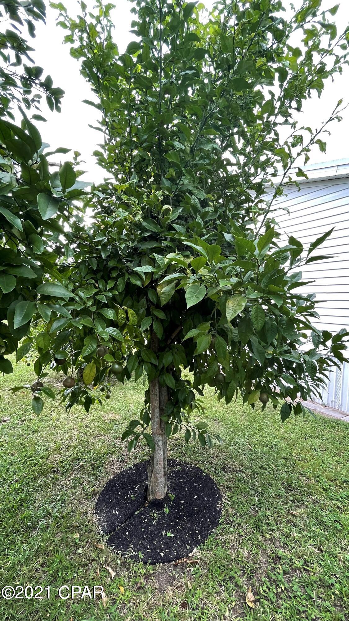 Laguna Beach - Residential