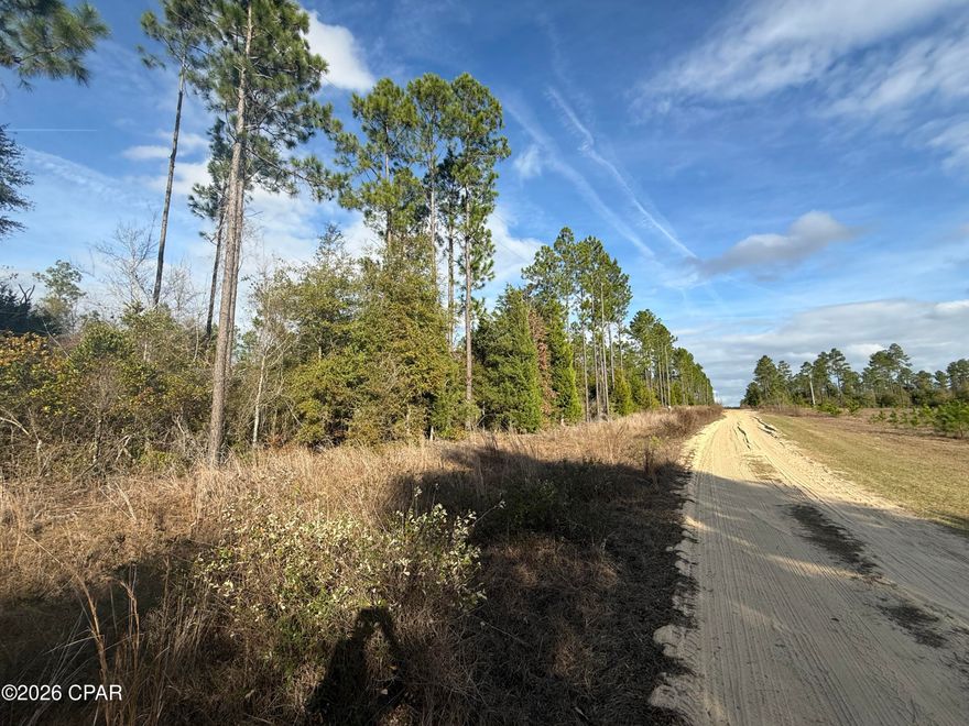 Build your dream home on this beautiful 10.01-acre parcel located just outside the city limits of Marianna. Offering the perfect blend of privacy and convenience, this deed-restricted property is ideal for those seeking space, freedom, and long-term value. Restrictions help preserve the area's beauty, requiring a minimum of 1,200 square feet, a 100-foot front setback, and 20-foot side setbacks. The lot may be split one time to create two 5-acre parcels, providing flexibility for future plans or investment potential. Mobile homes are not permitted. Animals are welcome, and there is no HOA, allowing you to enjoy country living with reasonable guidelines in place. A rare opportunity to own acreage with room to grow—bring your vision and make it yours.