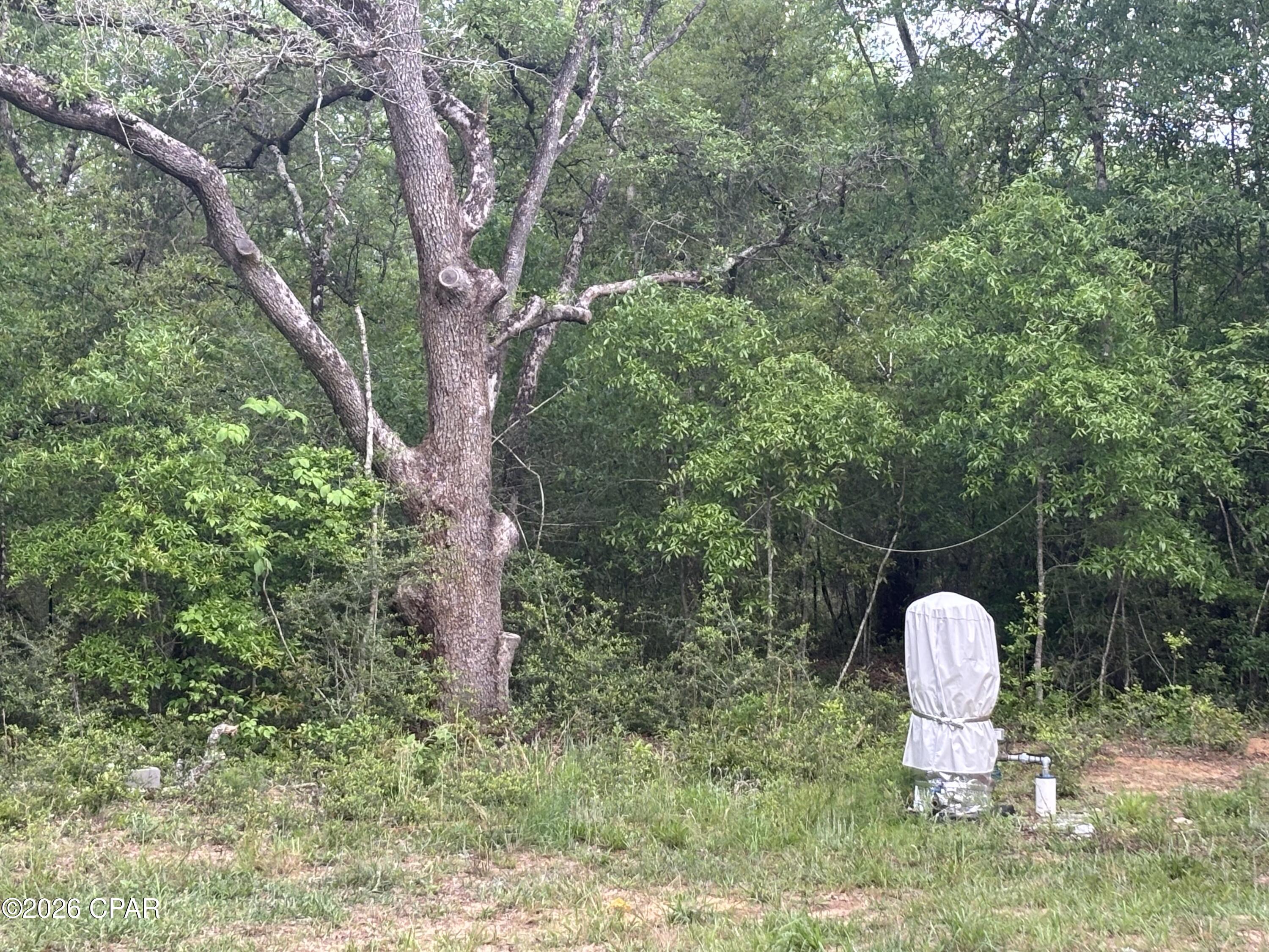 Compass Lake Hills Unit 1 - Land