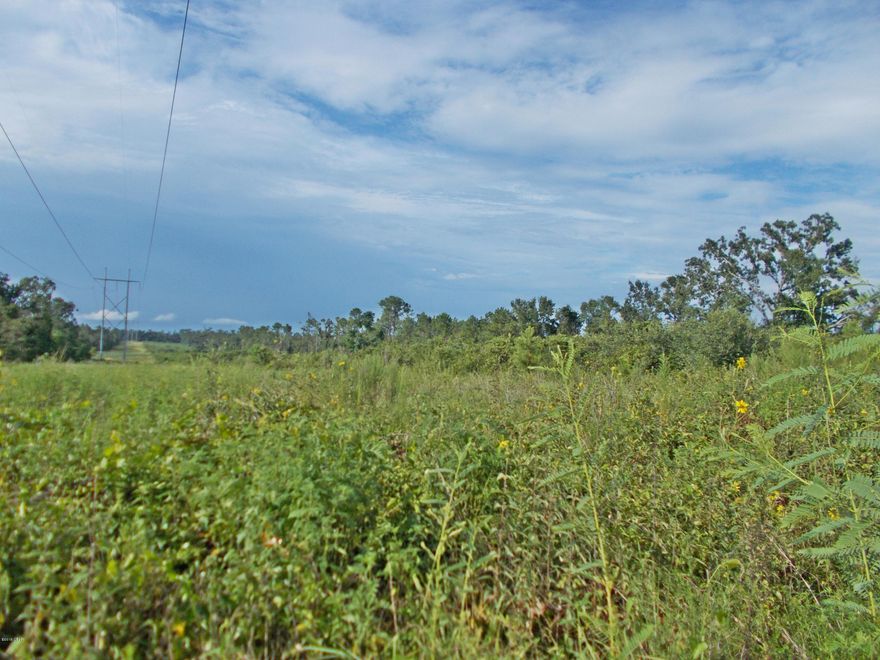 Very nice mostly cleared parcel of land for building or use it for farmland or pasture, seems to be high and dry, some nice trees on road way, also there is lots of road frontage.
