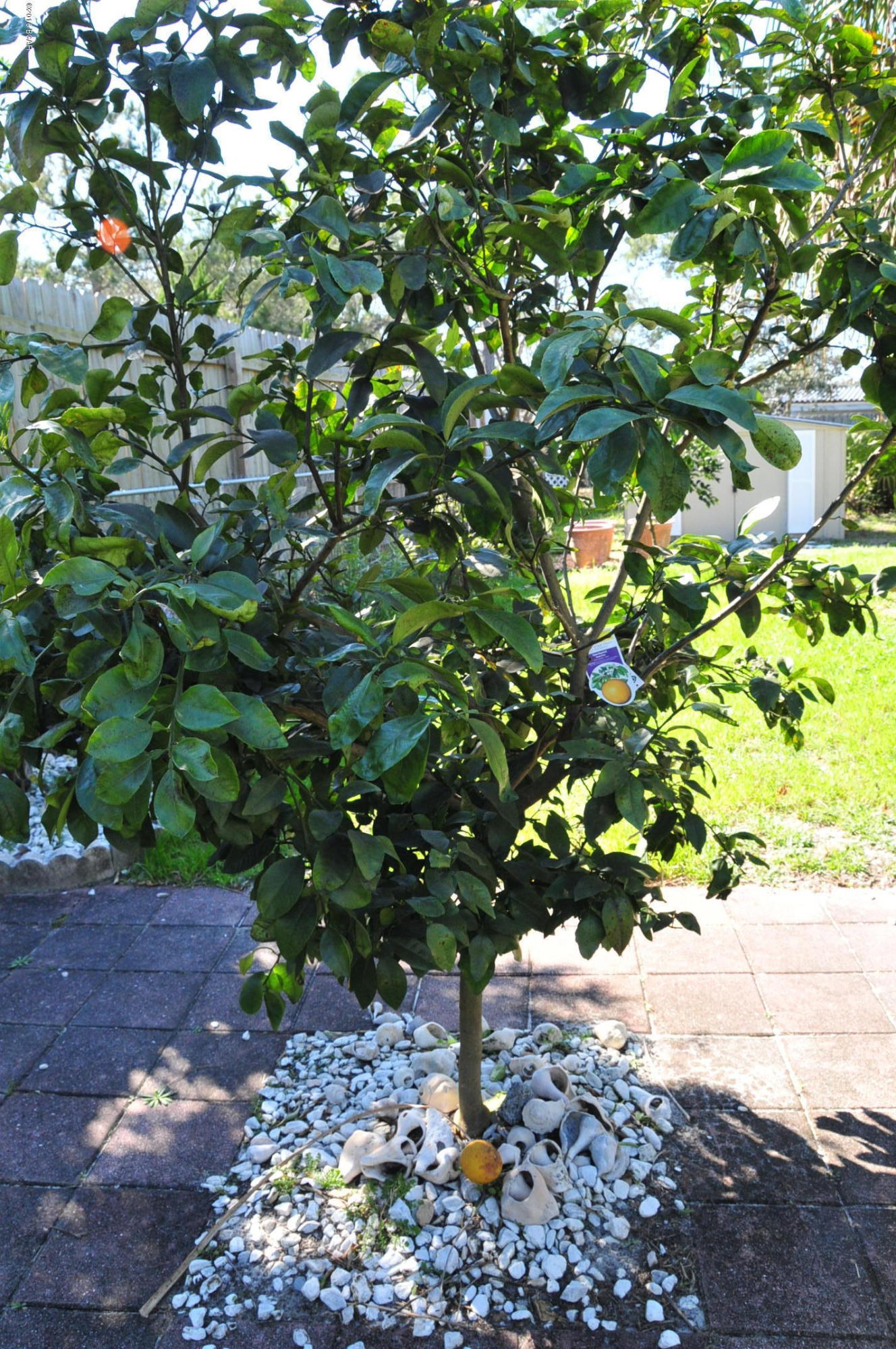 Laguna Beach Estates 7th Add - Residential