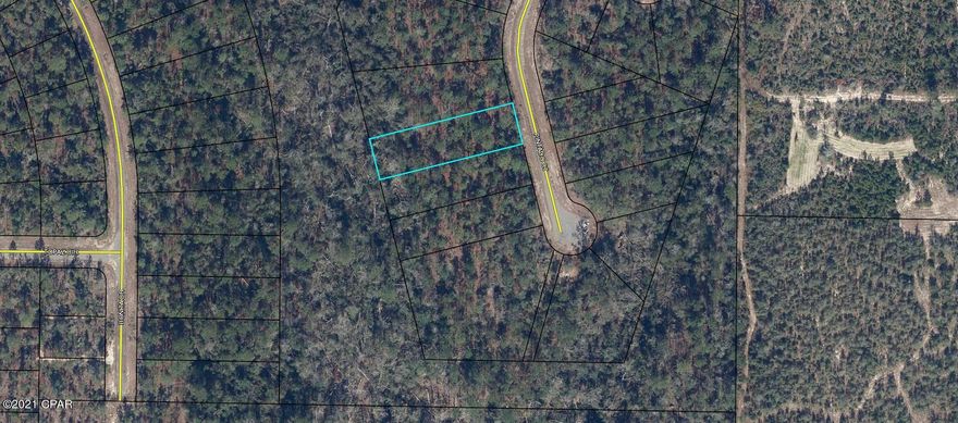 LARGE 1/2 acre lot in the Sunny Hills community.   This lot backs up to Greenbelt property.  If peace and quiet is what your looking for, now is your chance!  Sunny Hills has many things to offer such as a golf-course, numerous lakes/ponds with 5 different boat landings for fishing, and swimming. Washington County offers some of the lowest property taxes in the State of Florida. The neighborhood is deed restricted with no mobile homes allowed; however, there is no HOA. Don't miss your opportunity to be only about 45 minutes from the World's Most Beautiful Beaches!!! Buyer is to pay owner's title policy, doc stamps on deed and closing fee.  Additional lots are also available throughout Sunny Hills!!!