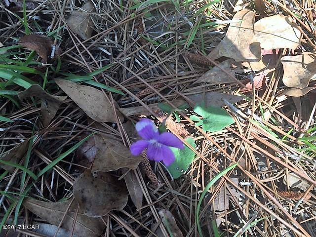 Compass Lake Hills Unit 6 - Land