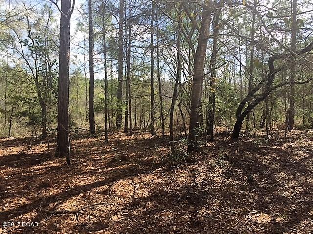 Compass Lake Hills Unit 6 - Land