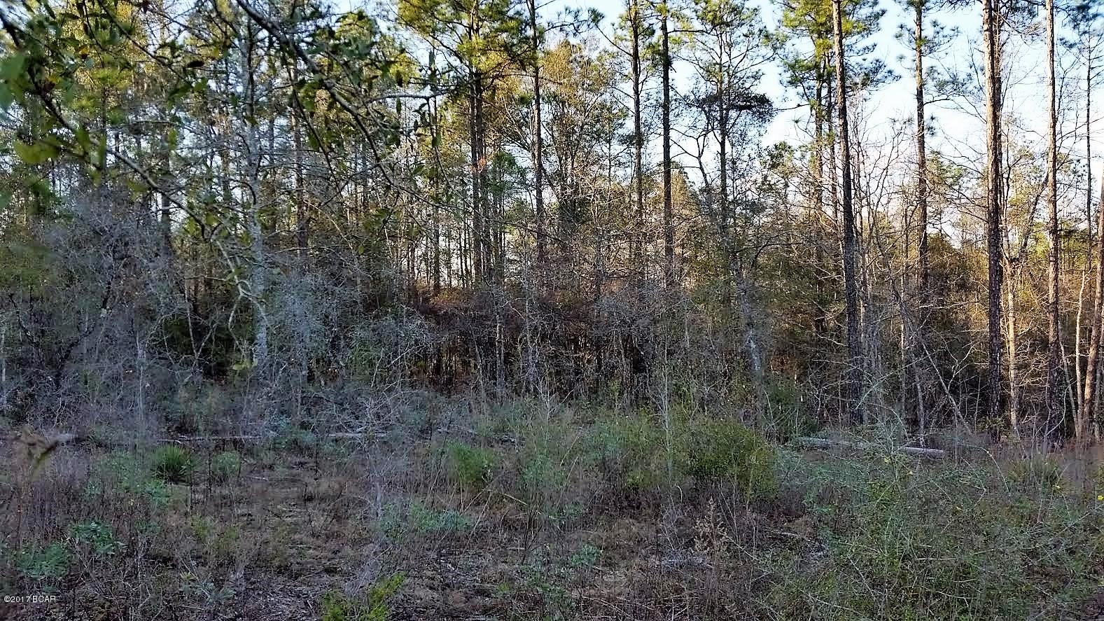 Compass Lake Hills Unit 6 - Land