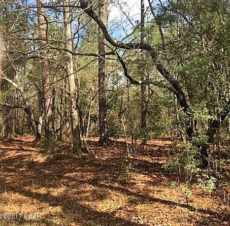 Compass Lake Hills Unit 6 - Land