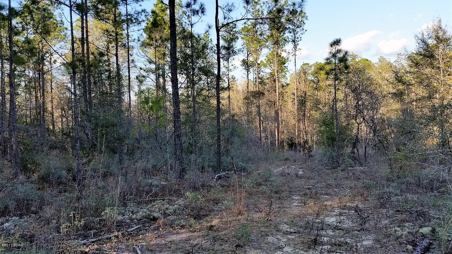 Compass Lake Hills Unit 6 - Land