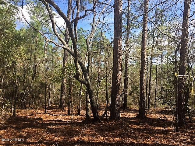 Compass Lake Hills Unit 6 - Land