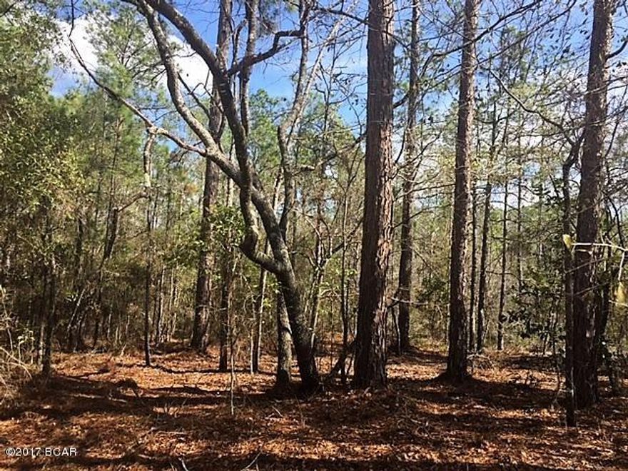 Lovely residential building lot in Compass Lake Hills.  The lot is scattered with trees native to the area.  It will make a beautiful homesite!  Here at Compass Lake Hills you have numerous amenities some of which include access to two lakes, horseback riding, RV camping facilities, golf driving range, clubhouse facilities and more!