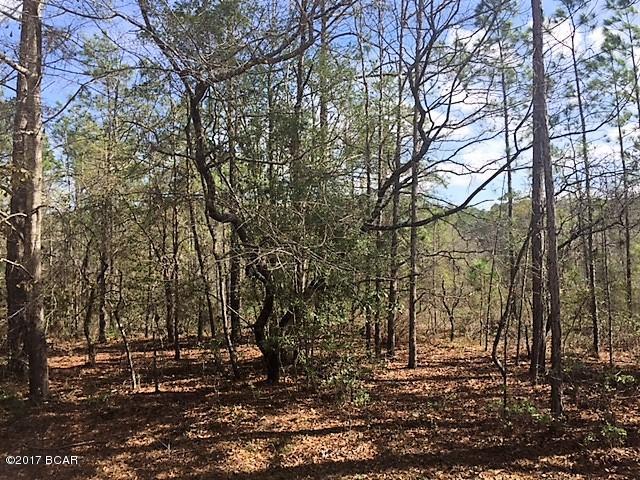 Compass Lake Hills Unit 6 - Land