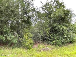 Compass Lake Hills Unit 5 - Land