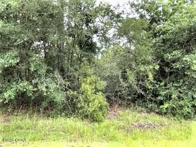 Compass Lake Hills Unit 5 - Land