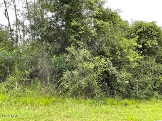 Compass Lake Hills Unit 5 - Land