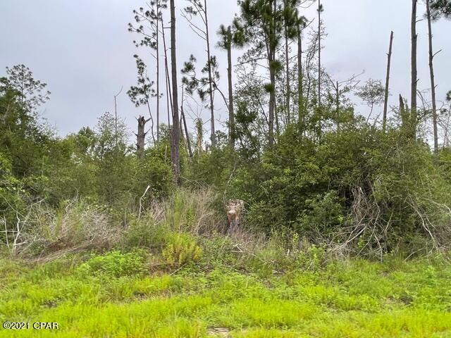 Compass Lake Hills Unit 5 - Land