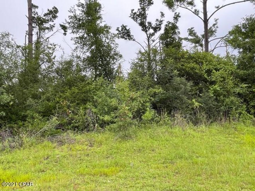 Wooded residential building lot in lovely Compass Lake Hills on a paved street. This one is in a nice location for building your new home. With lot ownership you have access to two lakes and numerous amenities. There is easy access to Marianna to the north and to Panama City on the coast to the south
