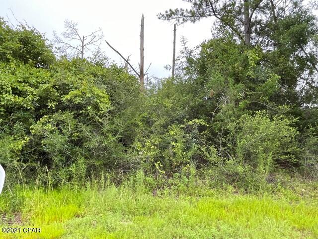 Compass Lake Hills Unit 5 - Land