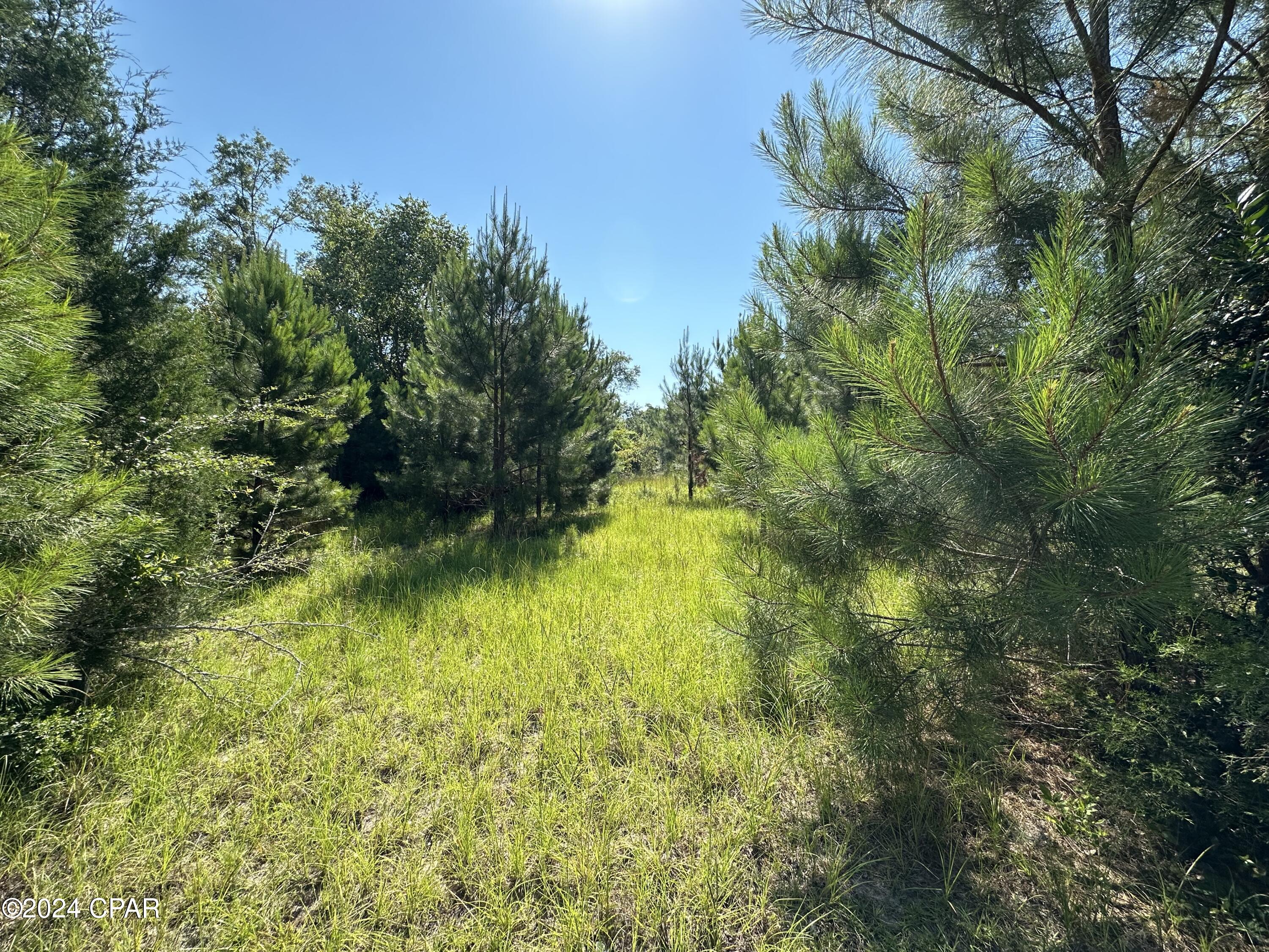 Willow Pond - Residential