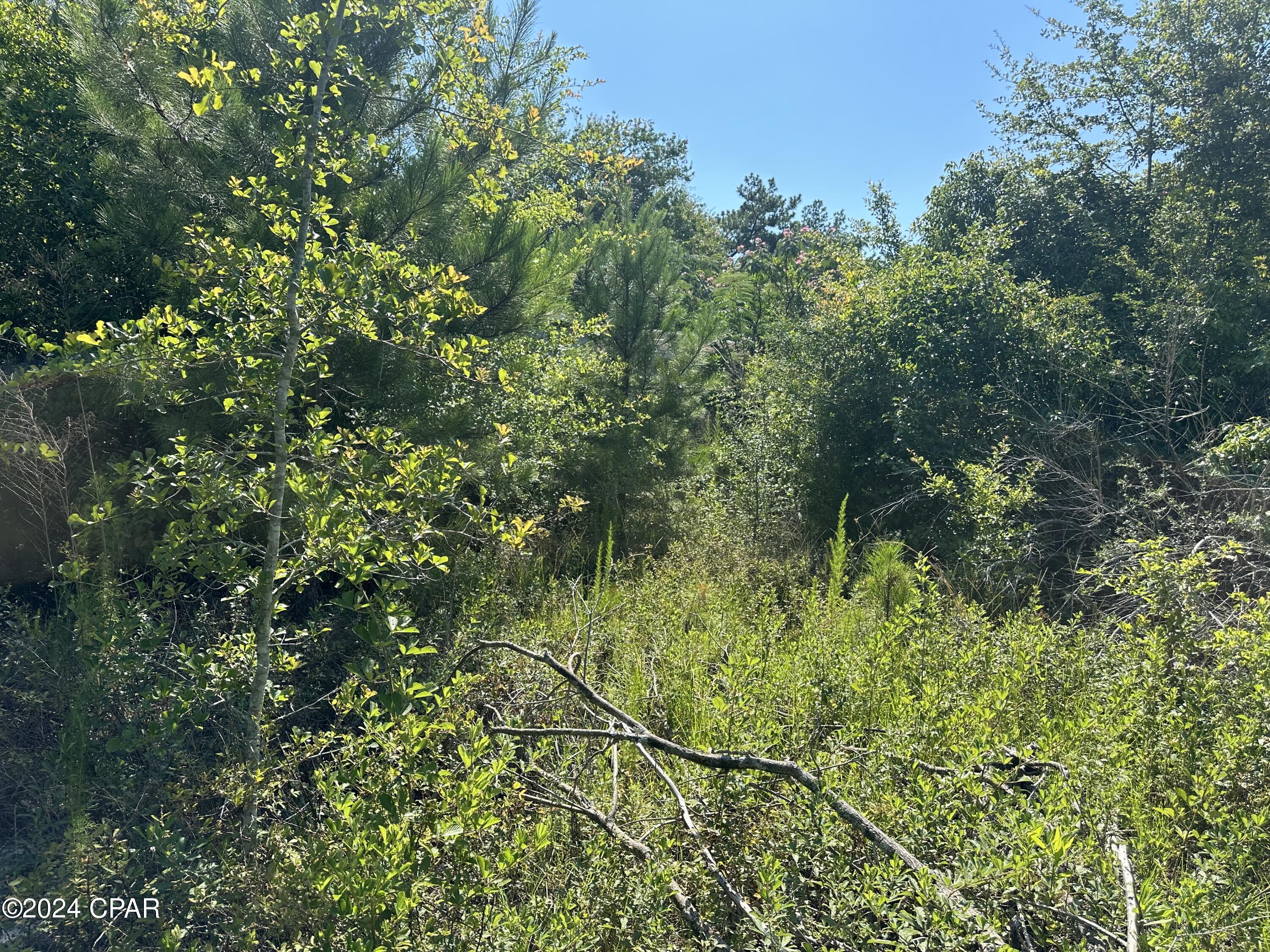 Willow Pond - Residential