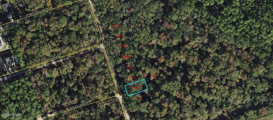 Vacant lot available on Fig Tree Ln in Crawfordville. Great opportunity for builders or investors in a growing area. Convenient and peaceful location just a short drive to the coast. Note: This listing is for one lot. A total of eight adjoining lots are available for purchase.

Buyer to verify all measurements, lot dimensions, and any information deemed important.