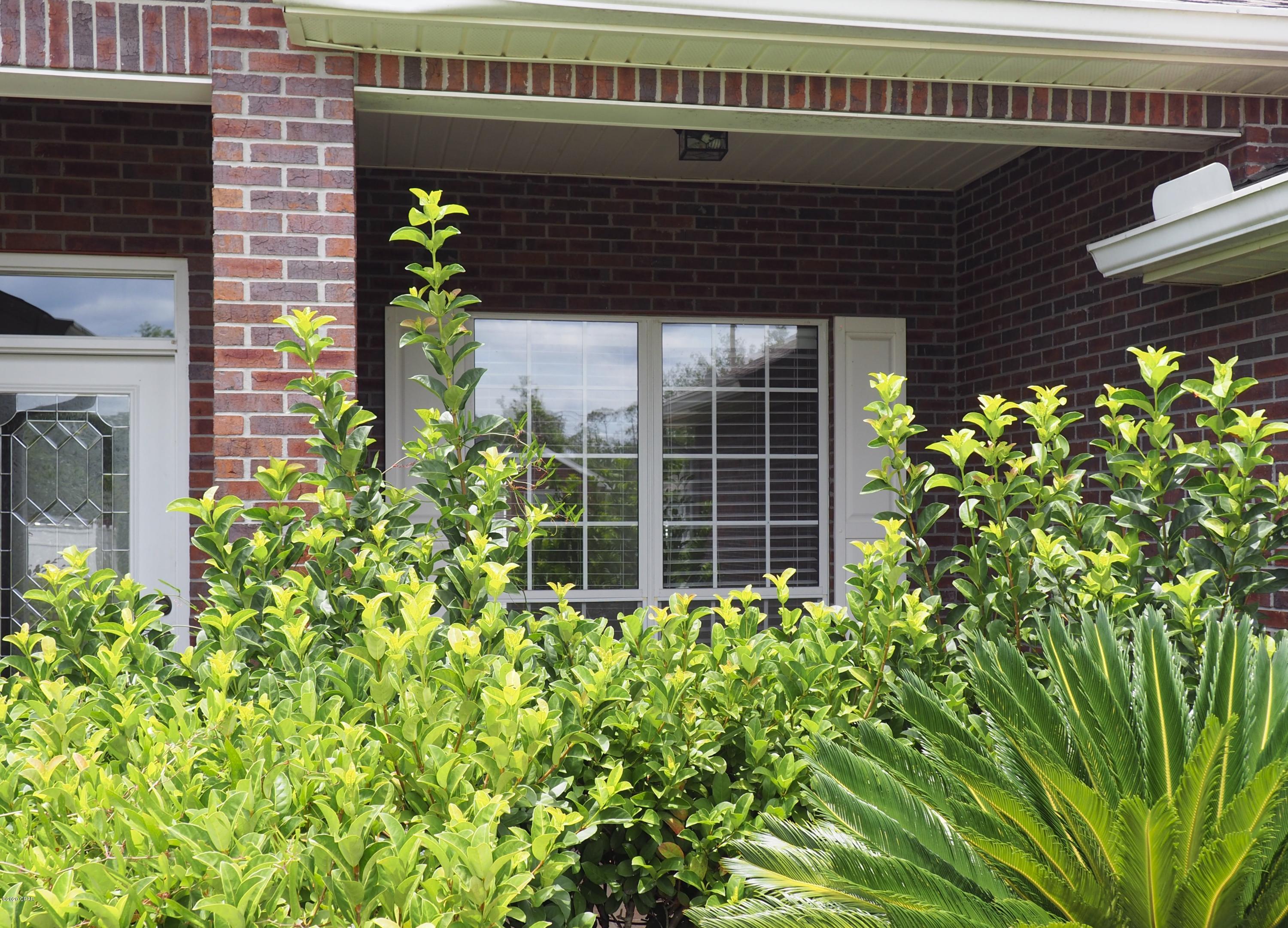 Forest Walk - Residential