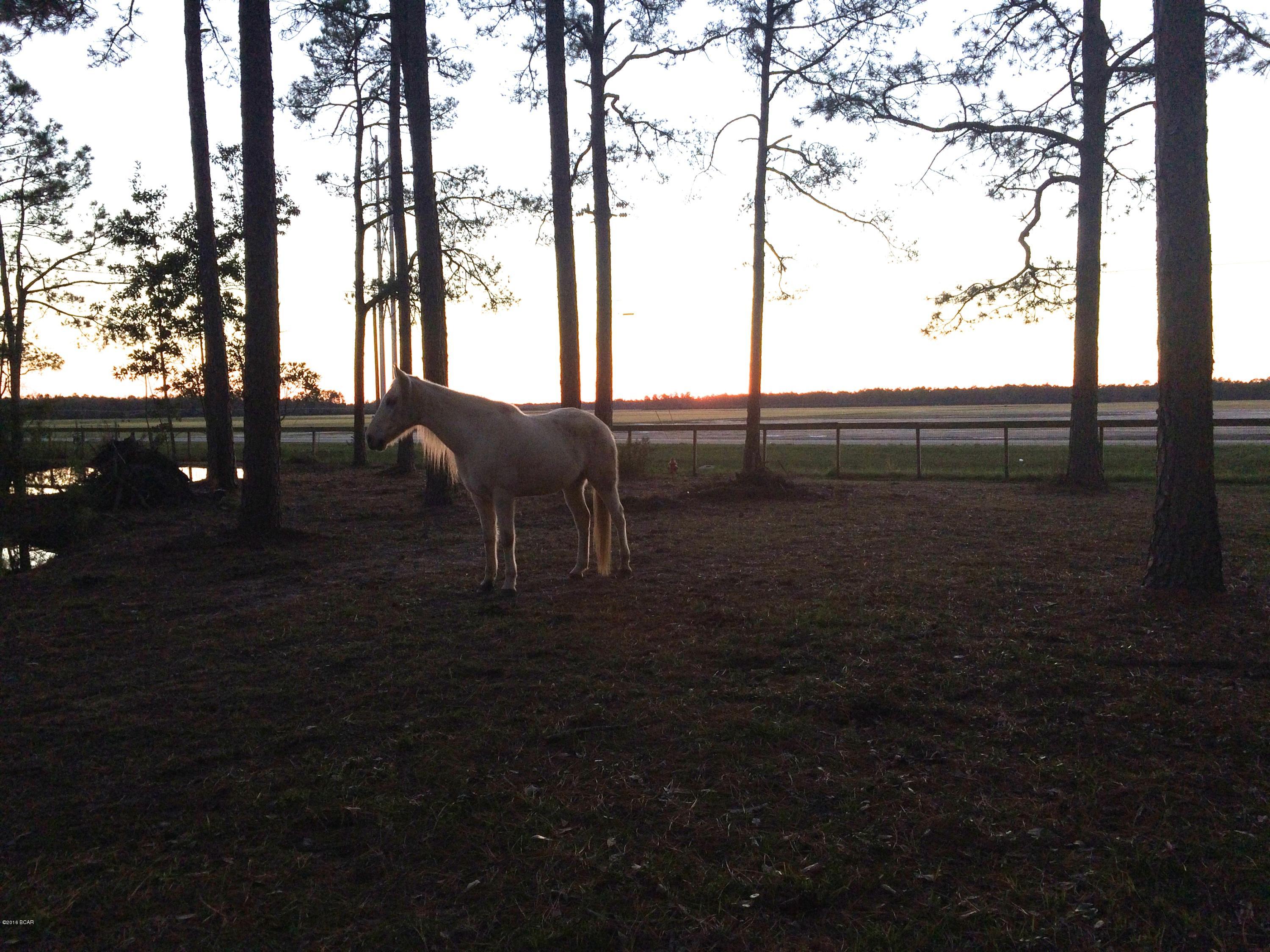 Kingswood - Residential