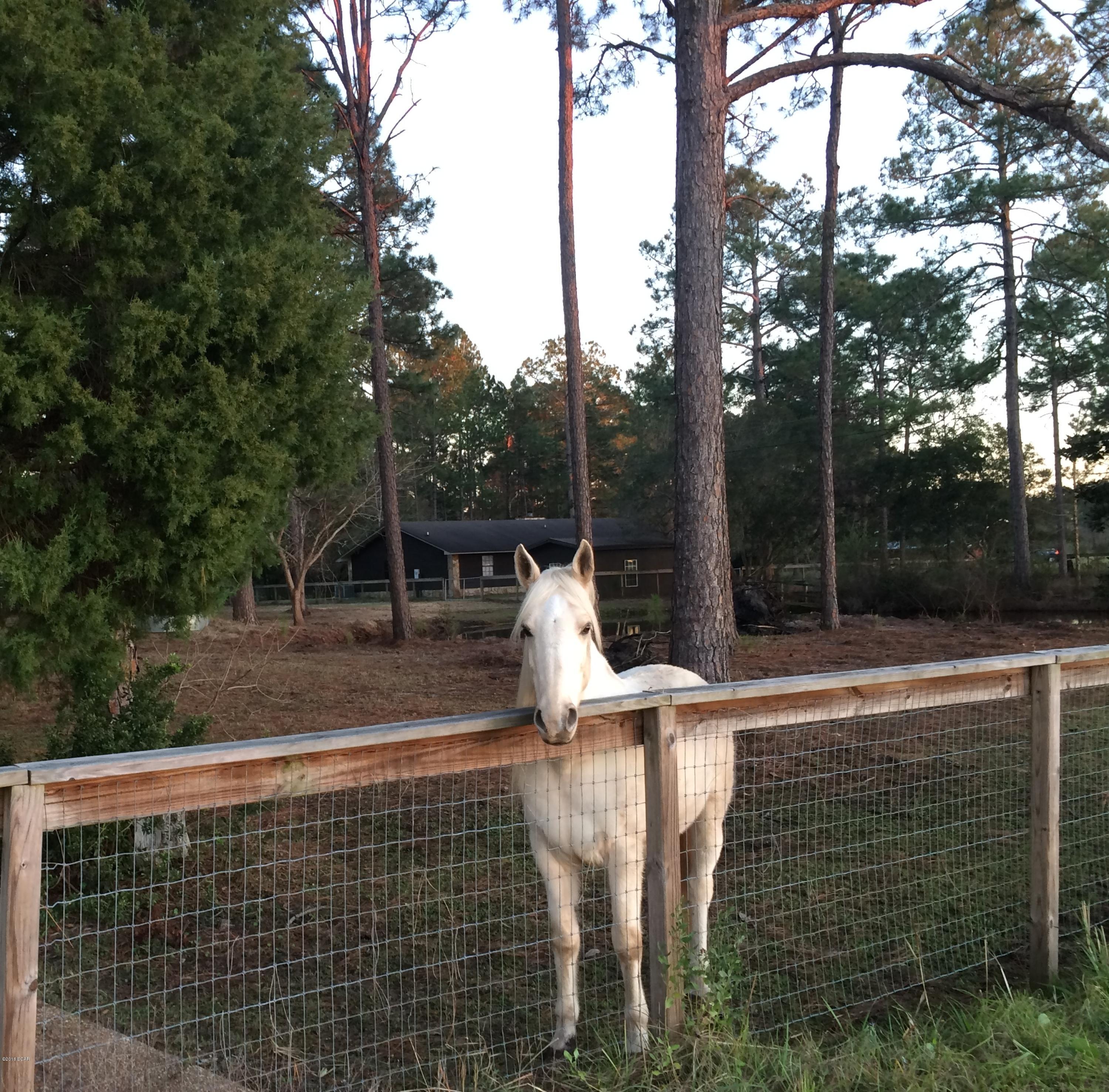 Kingswood - Residential