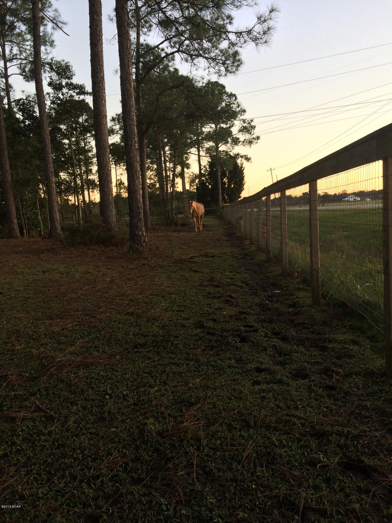 Kingswood - Residential