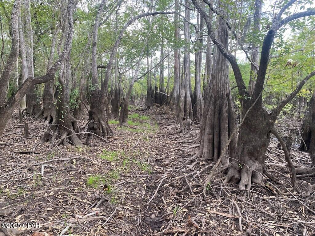 [No Recorded Subdiv] - Land