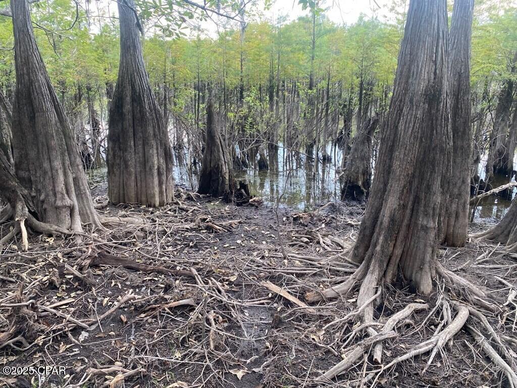 [No Recorded Subdiv] - Land