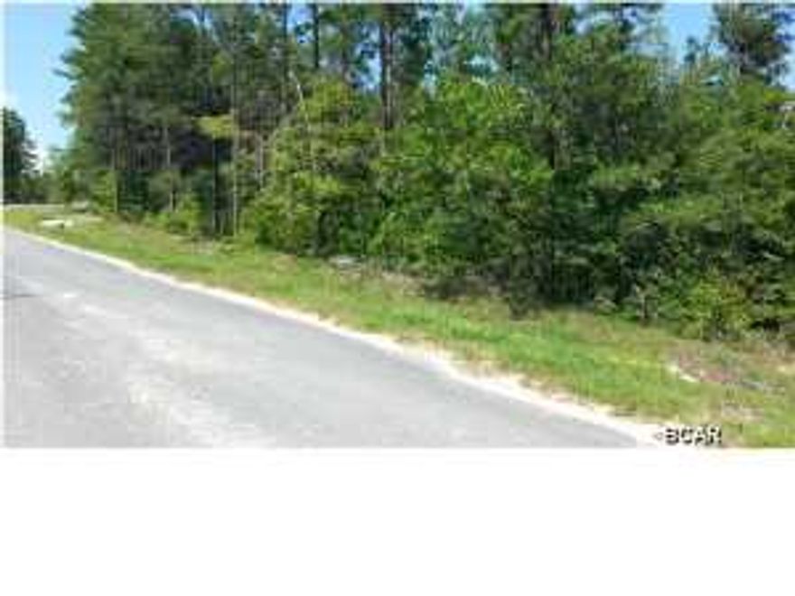 Beautiful secluded property! Includes ownership of portion of a couple different ponds/lake, depending on the water level. When you get to the end of the cul-de-sac, there is a survey marker directly behind the sign about 15 yards back (white pvc pipe). The property goes back up the road approximately to the ''don't be a litter bug'' sign, but not quite to the concrete culvert.