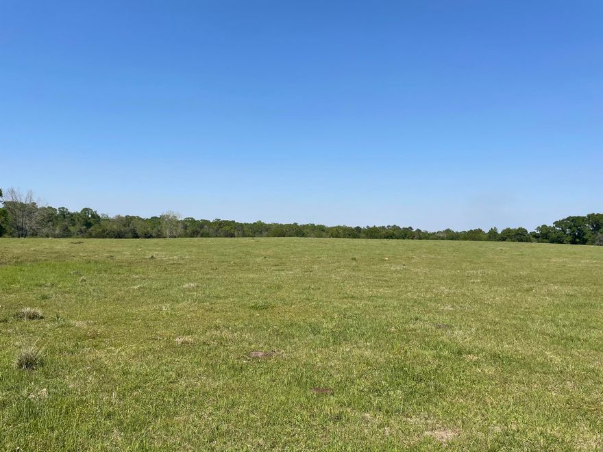 125 +/- ACRES, Bahia pasture, fenced and cross fenced, rolling hills with hilltop views, old home site with well and septic, Cows on the farm today. Access from Kirkland Road.
