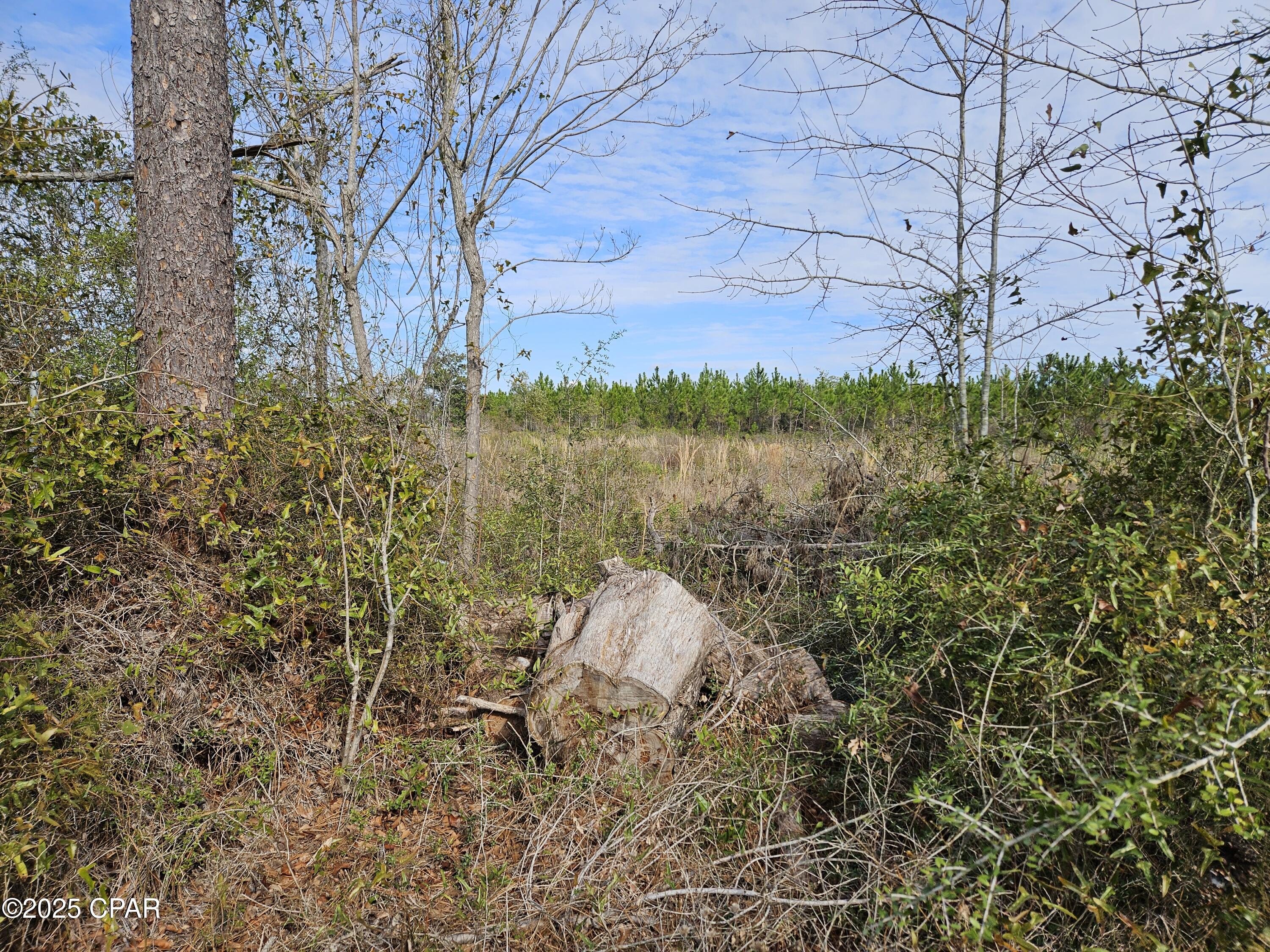 [No Recorded Subdiv] - Land