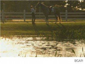 Kelly Plantation - Residential