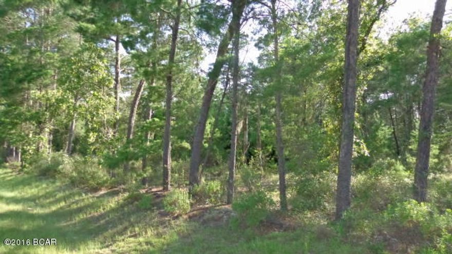Wooded lot close to Volunteer fire dept.  Adjoining corner lot for sale.