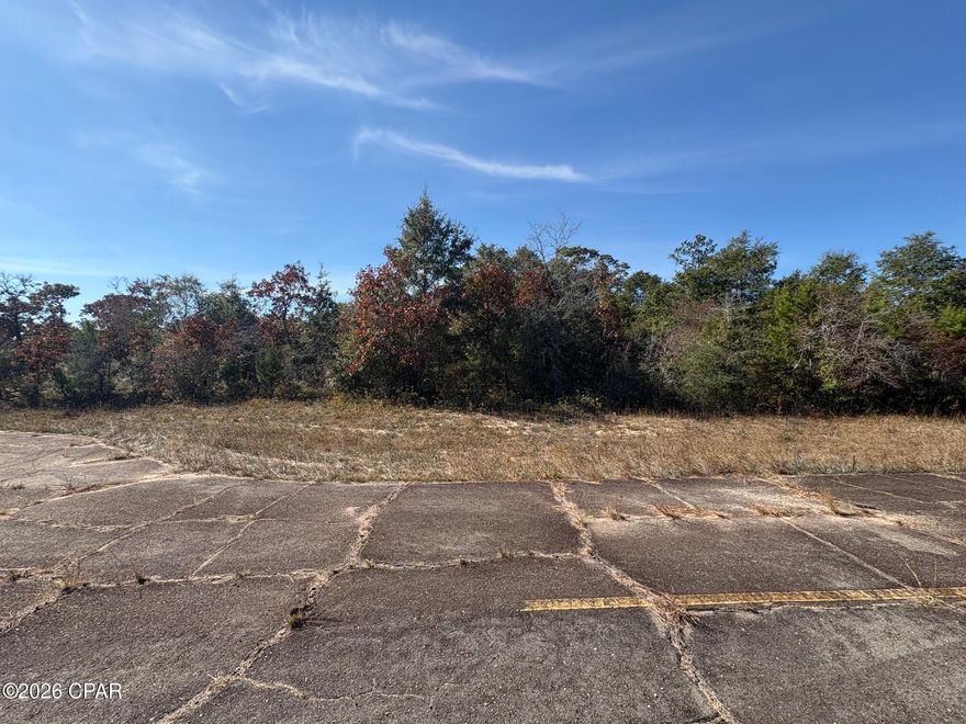 Calling all LAND BUYERS & INVESTORS.... one of two lots for sale at a super low price!  Nearly 1/3 of an acre in Sunny Hills Unit 8 located at LOT 10 on Wakefield Ct. This is a .29 acre lot is priced to sell. This private lot is on a secluded cul-de-sac and can be found just off Deltona Blvd. and Firetower Rd.  For an even larger building parcel, Lot 9 is available from the same seller at the same LOW price. Sunny Hills continues to attract buyers due to its convenient access to Highway 77, with Chipley to the north and Panama City and the Gulf Coast beaches to the south.
If you're looking for a competitively priced investment in a booming Northwest Florida community, this lot deserves your attention.