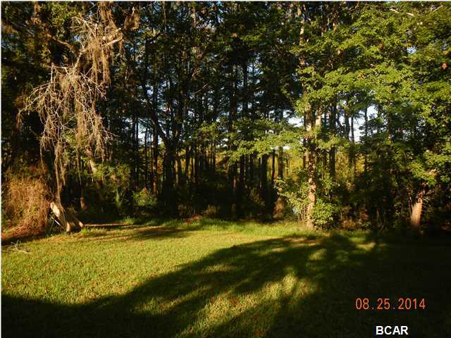 Dead Lakes - Residential