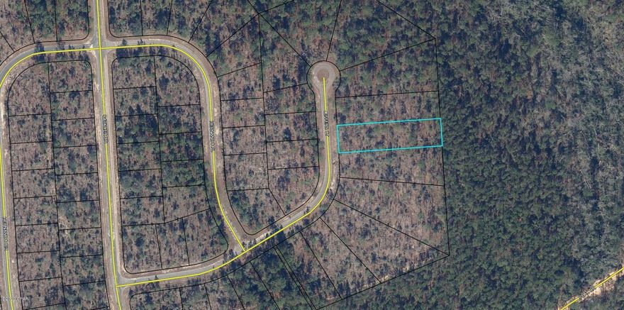 Oversized (1/2 acre) building lot in Sunny Hills. Convenient to the popular 18 hole public golf course. Lot has greenbelt area behind it so there will be no back door neighbors. The Sunny Hills community is located 18 miles south of Chipley and 25 miles north of Panama City. Buyer to pay Title Insurance, Closing fee, and Doc Stamps on the Deed.
