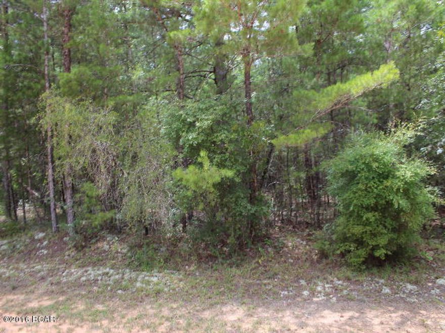 ** PRICE REDUCED** Lovely wooded residential building lot. Lot appears to be high and dry with mixture of various native trees. There is a $135 annual POA fee that is included in the property taxes. Ownership of the lot gives you numerous amenities of Compass Lake in the Hills. Some include access to two lakes, horseback riding, golf driving range, a nice restaurant, lodge facilities, RV parking, cabin rentals and more!